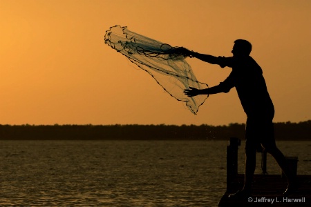 Casting Nets