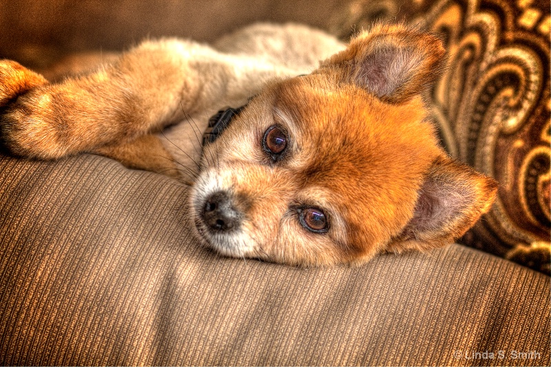 img9