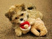 Lulu and Bear