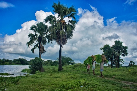 A village scene