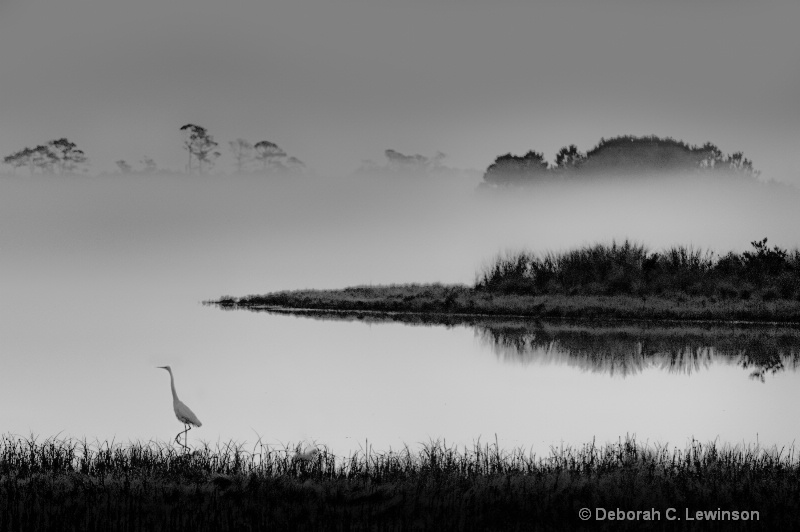 Fog Rising - ID: 13207707 © Deborah C. Lewinson