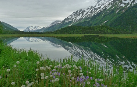 Tern Lake