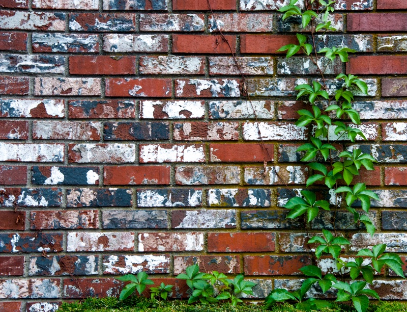 Brick and Ivy