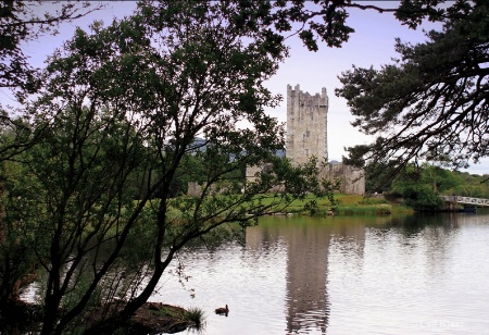 Ross Castle