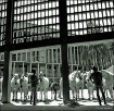 Light and Shade