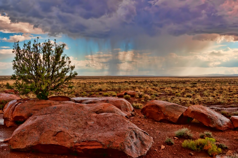 Arizona Rain