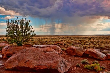 Arizona Rain