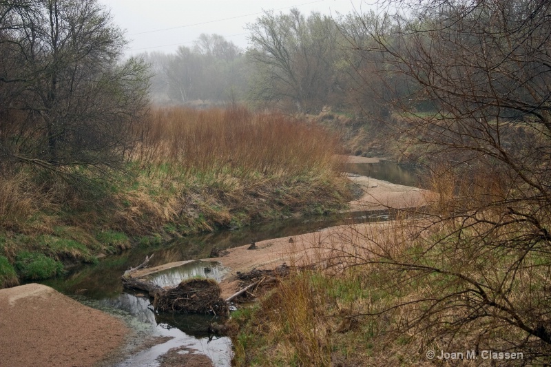 Misty Morning