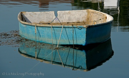 Solitary Skiff