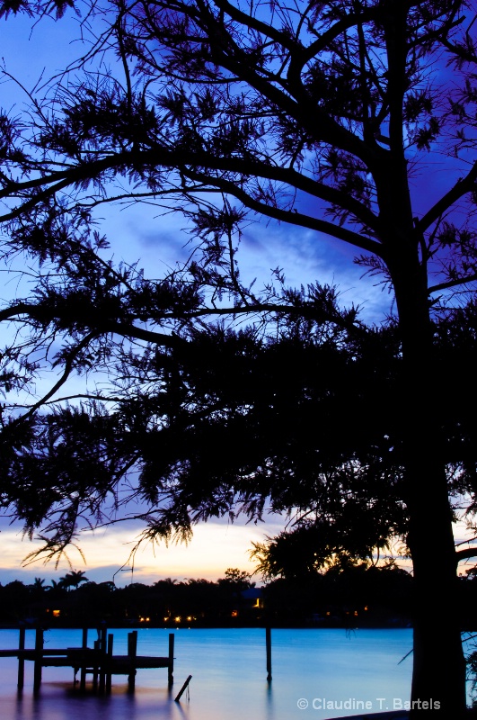 Sunset through the cypress 