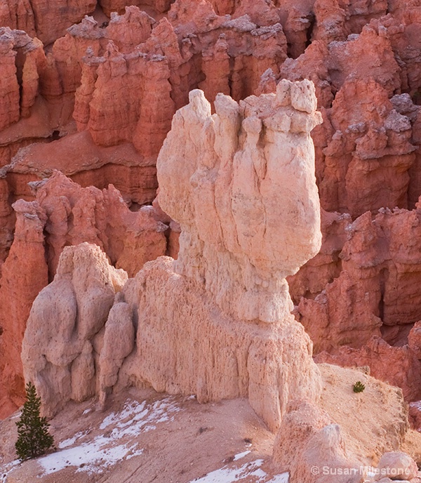 Bryce Canyon 8121 - ID: 13216596 © Susan Milestone