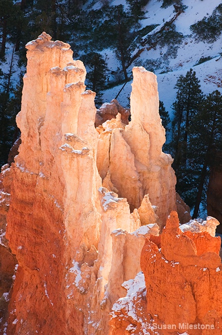 Bryce Canyon 8113 - ID: 13216602 © Susan Milestone