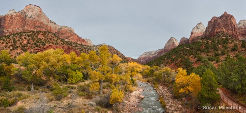 Zion National Park Pan 1 - ID: 13216605 © Susan Milestone