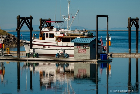 Marina Reflections