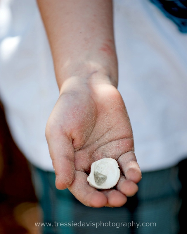 Finding Shells