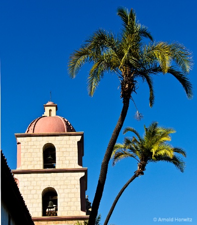 Palms and Bell Tower