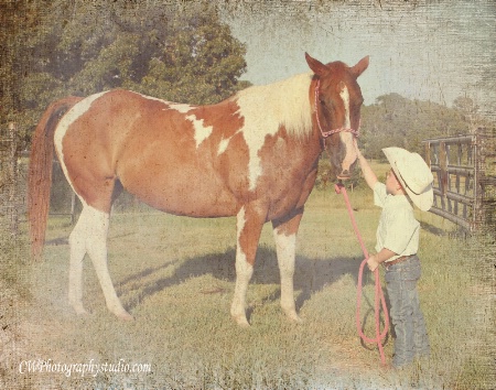 A Cowboy And His Horse