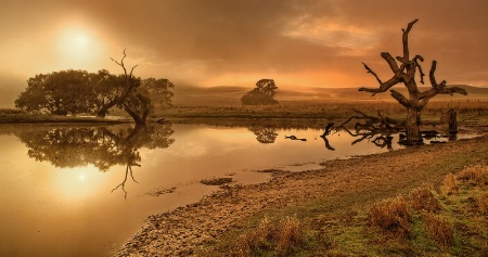 Lifting mist