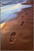 Footsetps in the ...