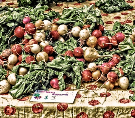 Radishes at Farmer's Market, NYC - 2012