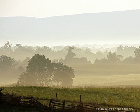 Fog on the Field