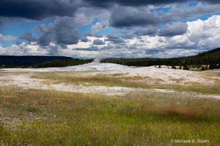 Old Faithful Resting