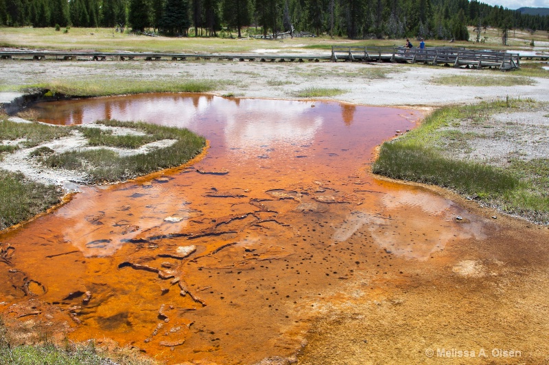 Yellowstone Color 