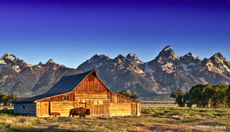 Mormon Row Sunrise