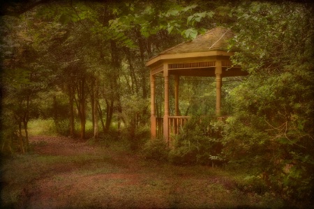 Gazebo In The Woods