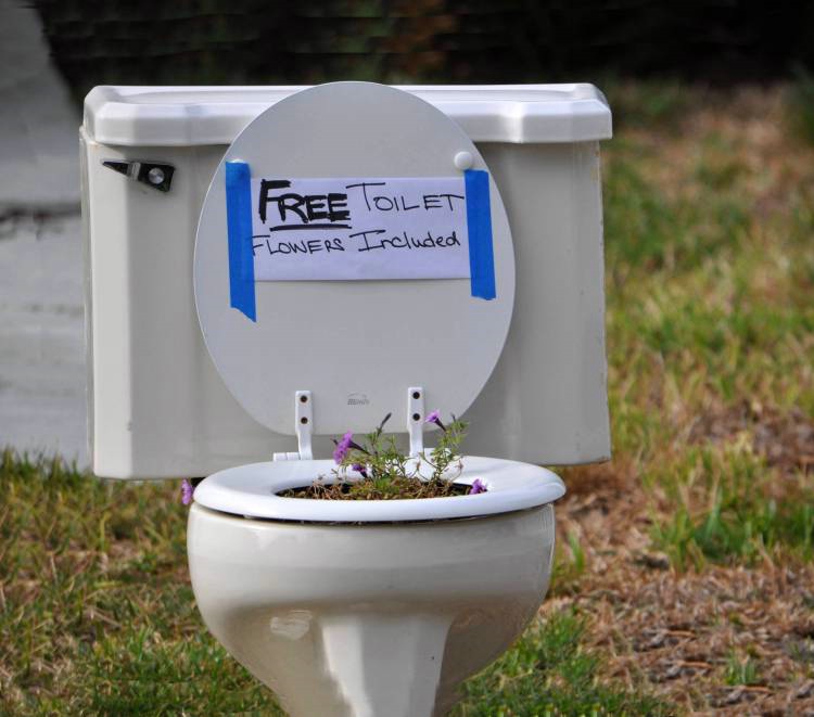 Free Toilet