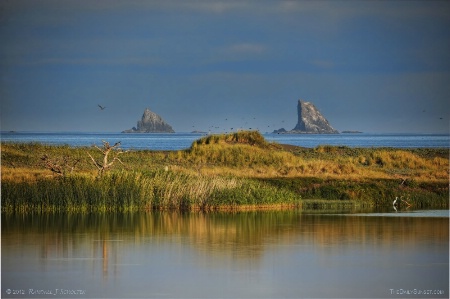 Morning Lake and Sea