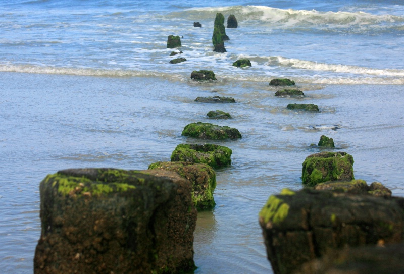 Steps taken by the sea