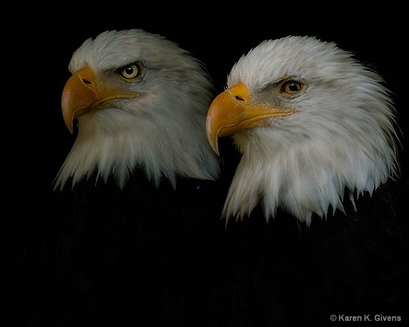 Double Eagles