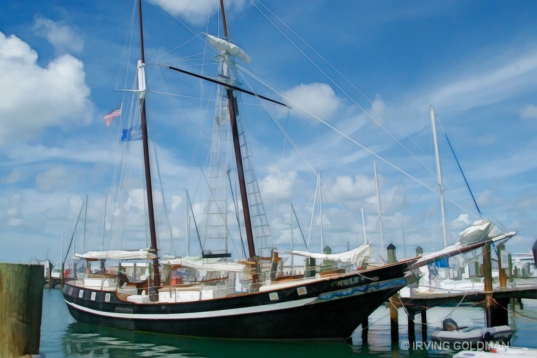 WOLF SAILBOAT