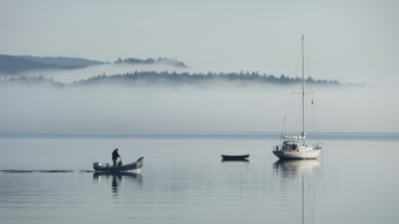 Morning in the Bay