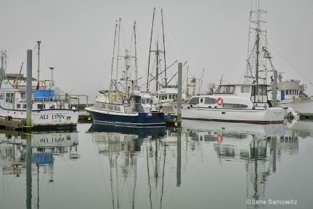 Foggy Marina