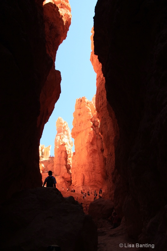 "Wall Street,"  Bryce Canyon National Park