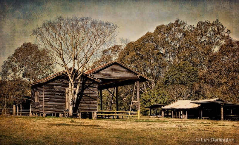 Old Shed!