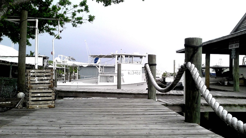 Star Fish Dock