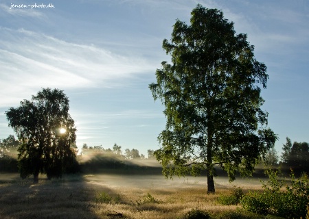 Misty morning light (1)