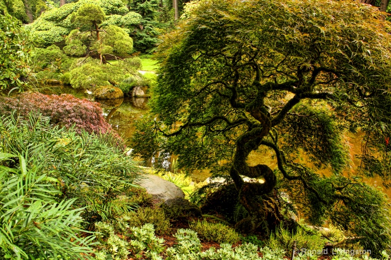 Japanese Garden Art