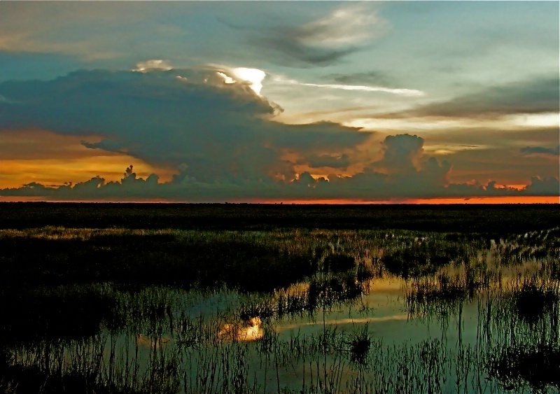 Majestic Everglades