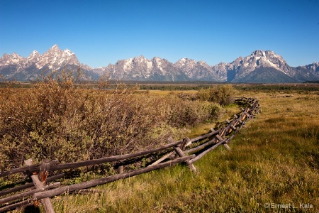 Cunningham Fence