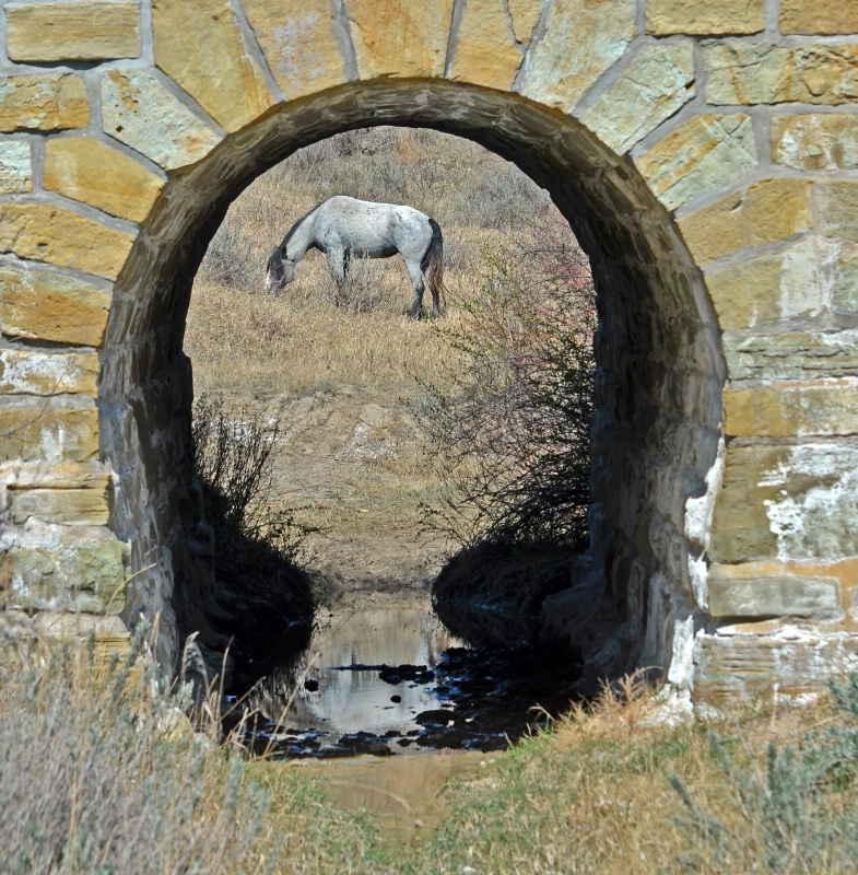 Framed  By  Stone