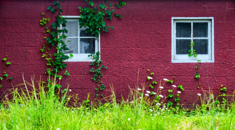 Red Wall