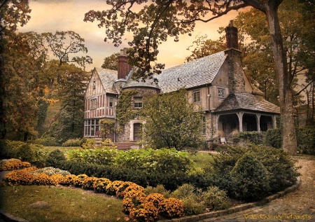 Tudor in Autumn