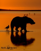 Photography Contest Grand Prize Winner - August 2012: Morning Light