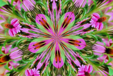 Floral Abstract....