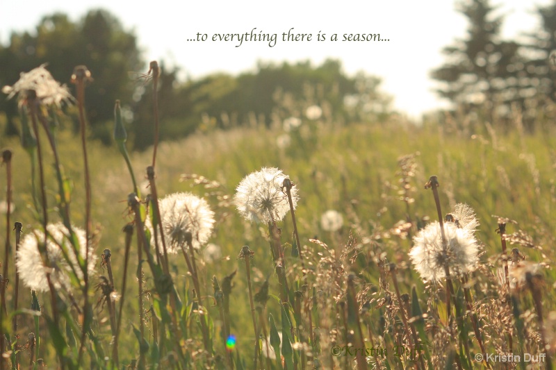 To everything there is a season 