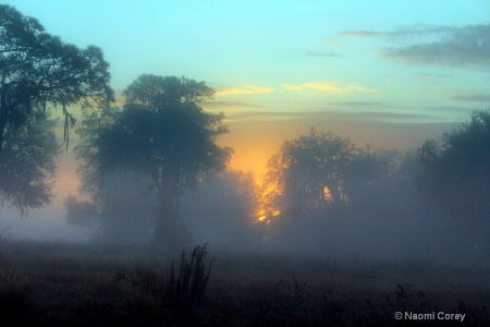 Glorious Foggy Sunrise